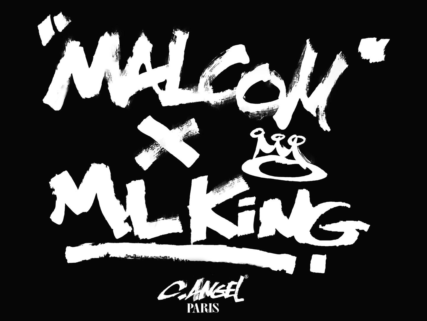 UNITY Malcolm X & Martin Luther King Art Heavy Tee Premium Unisex